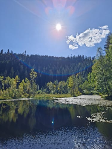 Von der Alexanderschanze zum Ellbachsee