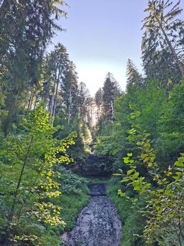 Von der Alexanderschanze zum Ellbachsee
