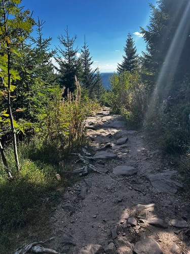 Mummelsee-Hornisgrindepfad
