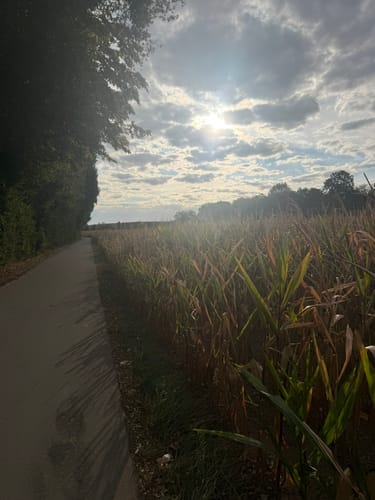 Von Landau nach Wollmesheim