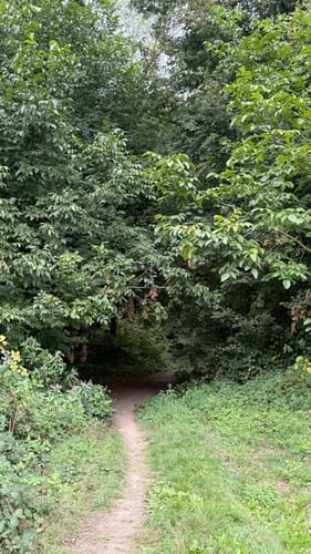 Rundweg Siegmündung