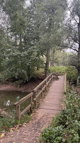 Rundweg Siegmündung