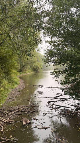 Rundweg Siegmündung