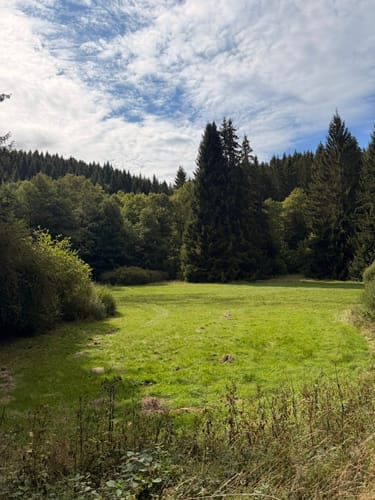Waldkapelle und Oleftalsperre