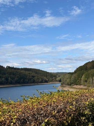 Waldkapelle und Oleftalsperre