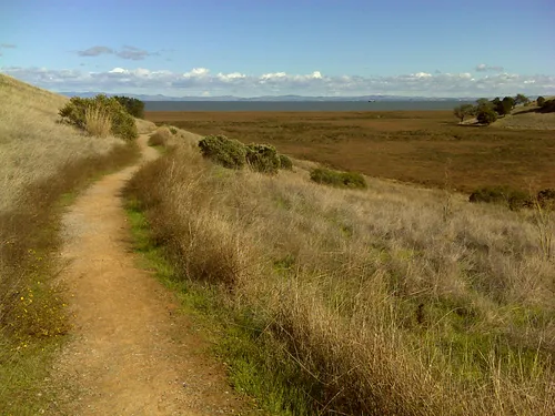 china camp state park mountain biking