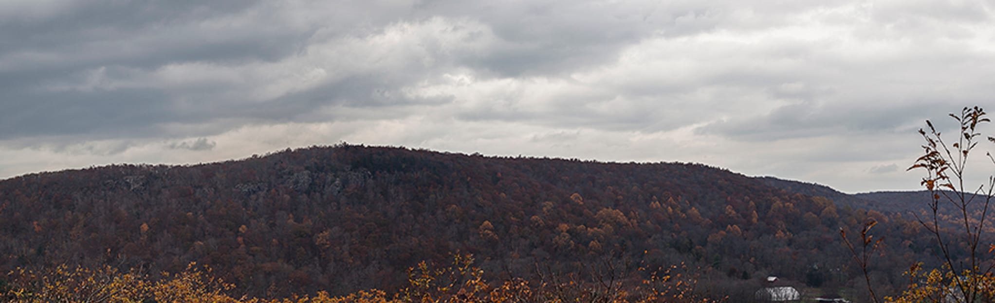 Lone Pine Trail and Ridge Trail Loop, Connecticut - 83 Reviews, Map