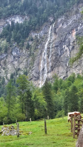 Wanderung zur Fischunkelalm am Obersee
