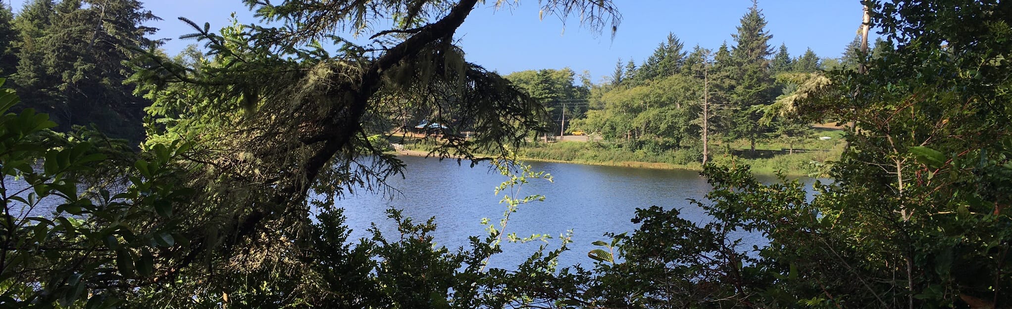 Black Lake 73 Reviews, Map Washington AllTrails