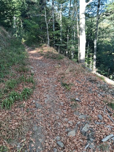 Kandel von Glottertal