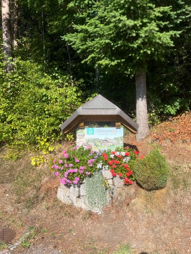 Titisee Rundweg