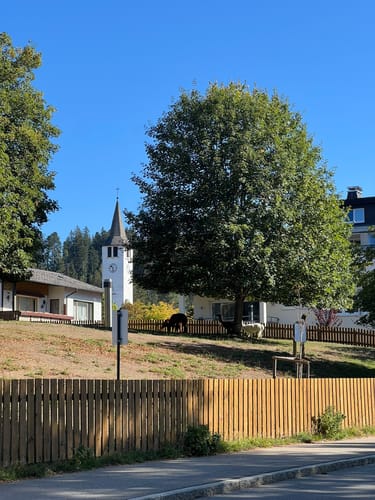 Titisee Rundweg
