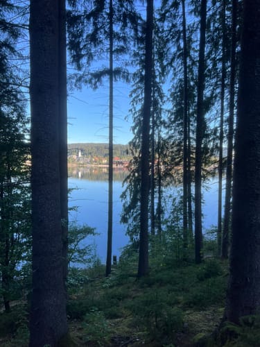 Titisee Rundweg