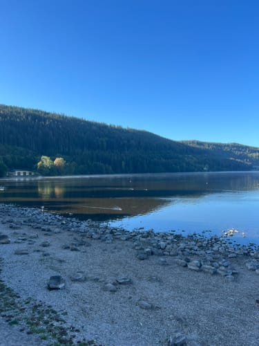 Titisee Rundweg