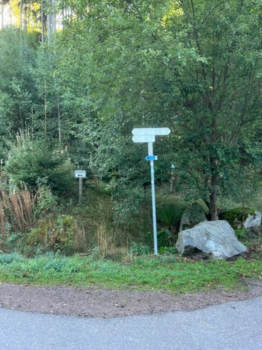 Titisee Rundweg