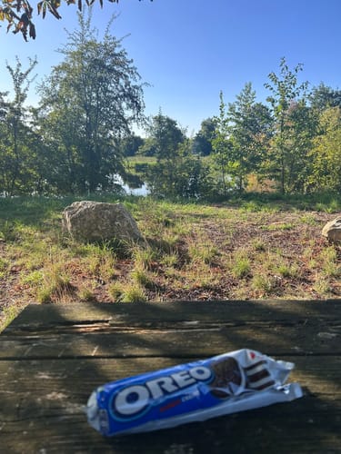 Vom Schlosspark über Dellmensingen und Rißtissen
