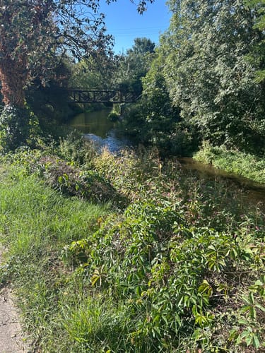 Vom Schlosspark über Dellmensingen und Rißtissen