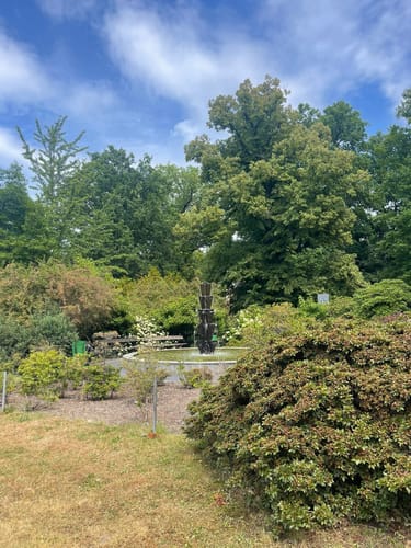 Kromlau Rhododendrenpark