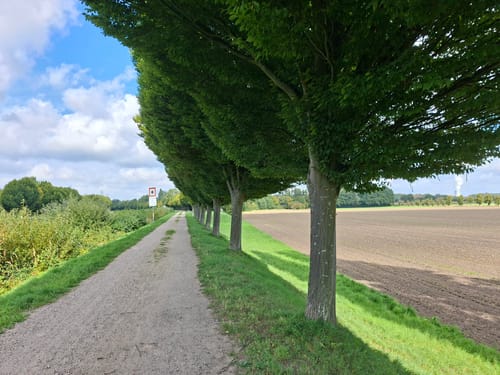 Am Dortmund-Ems-Kanal
