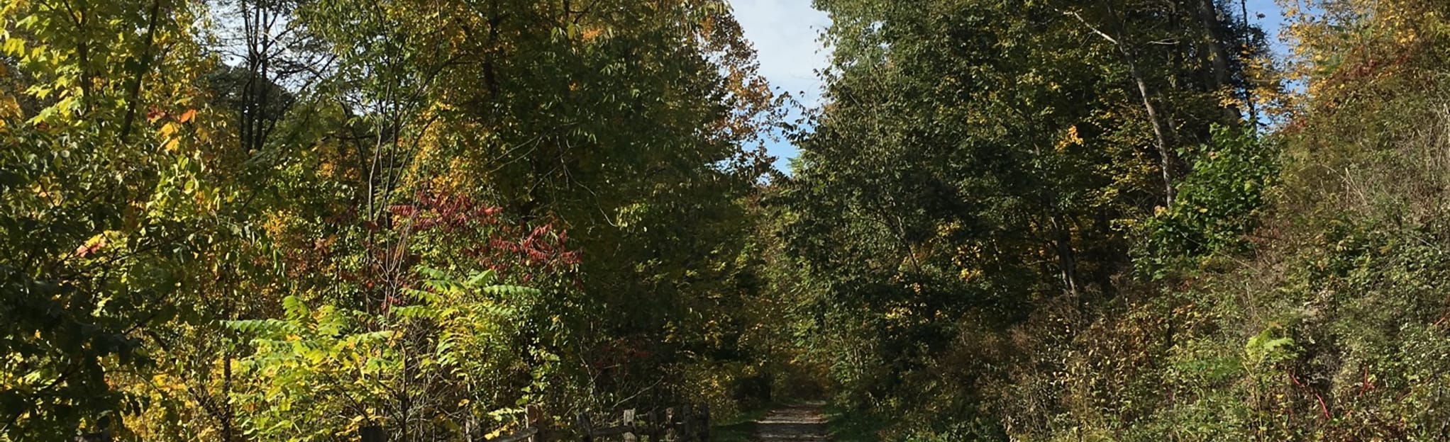 Montour Trail Cliff Mine To Five Points 214 Reviews, Map