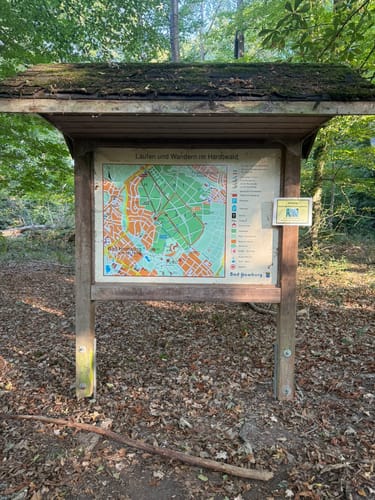 Hardtwald ab Seulberg