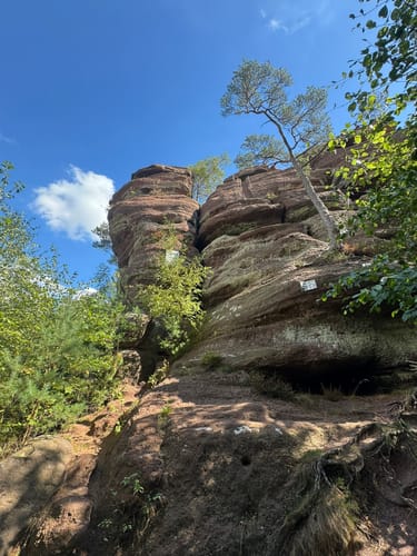 Kasteler Felsenpfad (Traumschleife)