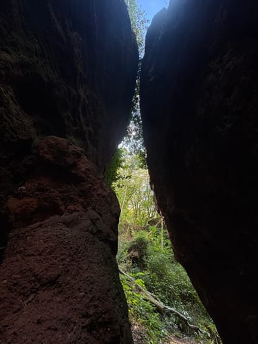 Kasteler Felsenpfad (Traumschleife)