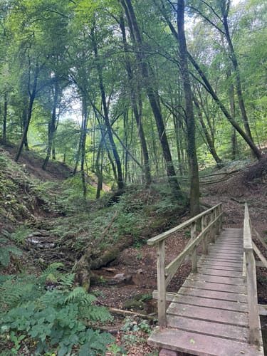 Kasteler Felsenpfad (Traumschleife)