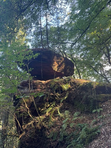 Kasteler Felsenpfad (Traumschleife)