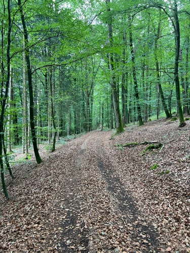 Kindinger Burgenweg