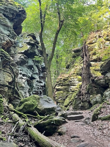 Teufelsschlucht und Keltenhöhle Rundweg