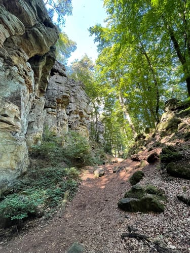Teufelsschlucht und Keltenhöhle Rundweg