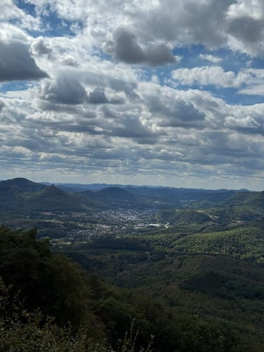 Pfälzer Hüttentour (Premiumwanderweg)