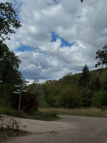Pfälzer Hüttentour (Premiumwanderweg)