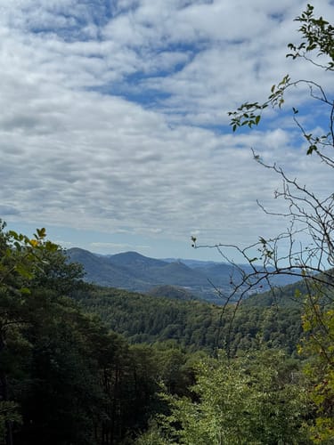 Pfälzer Hüttentour (Premiumwanderweg)