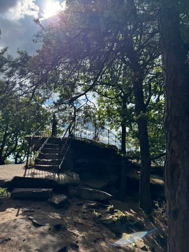 Pfälzer Hüttentour (Premiumwanderweg)