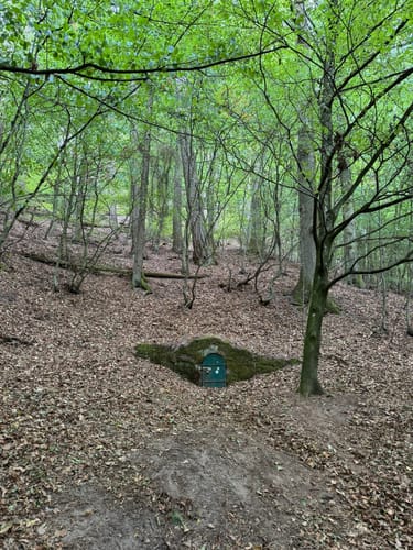 Pfälzer Hüttentour (Premiumwanderweg)