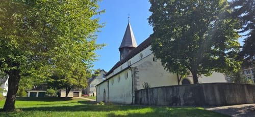 Moos - Stein am Rhein - Burg Hohenklingen