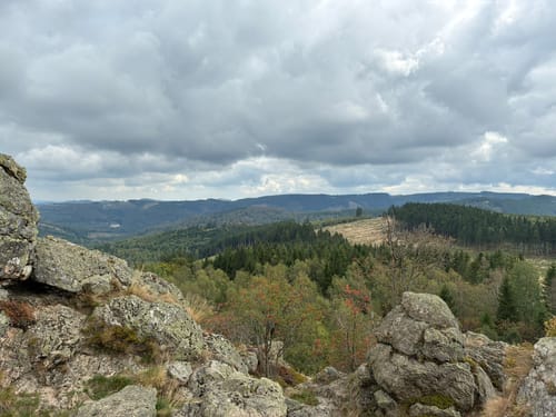 Rund um das Naturschutzgebiet Bruchhauser Steine