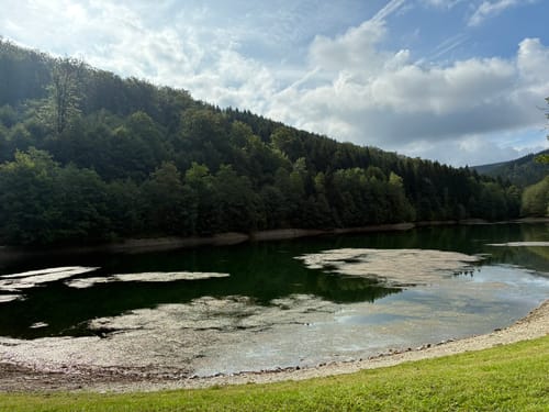 Rund um das Naturschutzgebiet Bruchhauser Steine