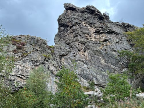 Rund um das Naturschutzgebiet Bruchhauser Steine