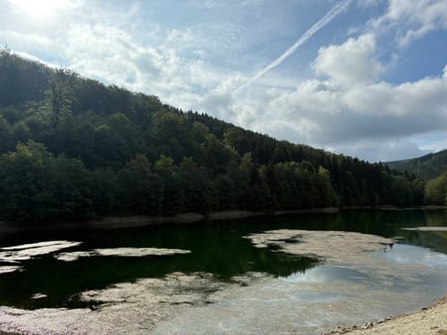 Rund um das Naturschutzgebiet Bruchhauser Steine
