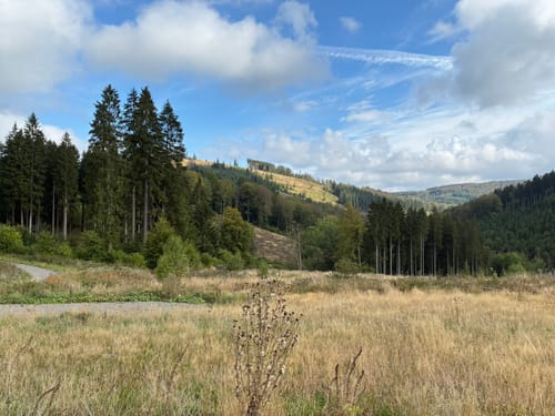 Rund um das Naturschutzgebiet Bruchhauser Steine
