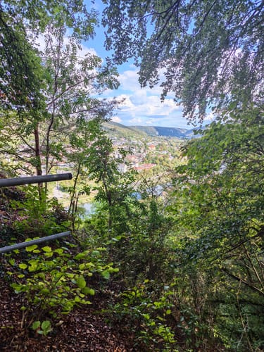 Drei-Burgen-Steig Riedenburg