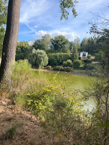 Warndt-Wald-Weg (Premiumwanderweg)
