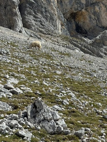 Zugspitze ab Garmisch-Partenkirchen Klettersteig