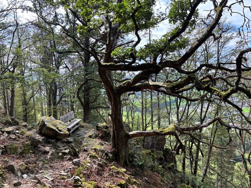 Via Celtica (Premiumwanderweg:)