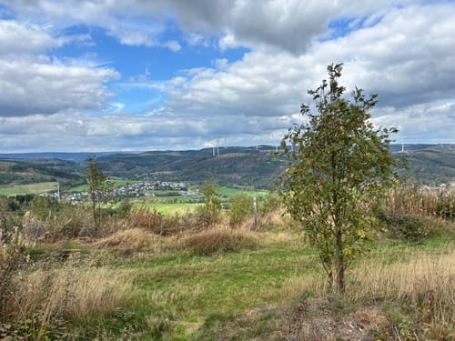 Via Celtica (Premiumwanderweg:)