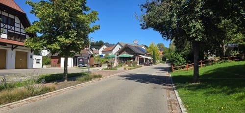 Moos - Stein am Rhein - Burg Hohenklingen