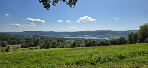 Moos - Stein am Rhein - Burg Hohenklingen